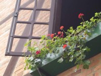 /album/fotos-da-cidade-de-timbo-sc/a04-02-jpg/