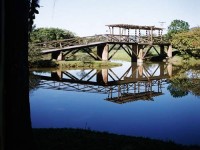 /album/fotos-da-cidade-de-timbo-sc/a05-08-jpg/